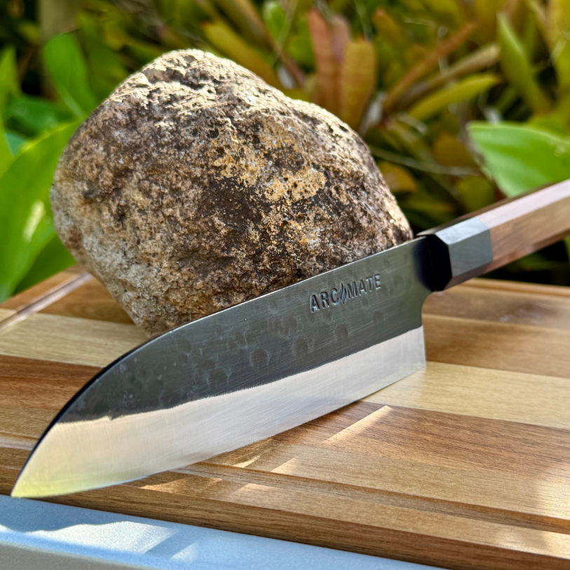 ArcMate™ BBQ Carving Knife